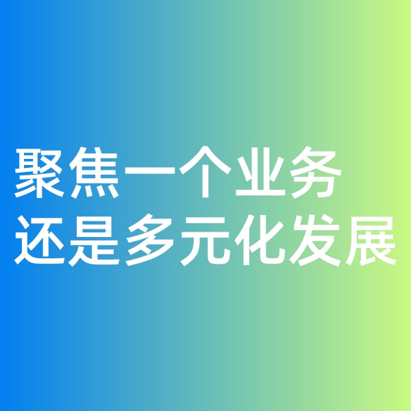 鈀碳回收, 聚焦一個(gè)業(yè)務(wù)，還是多元化發(fā)展
